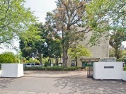 佐倉小学校