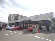 トウズ京成佐倉店