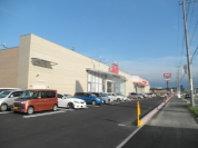 アベイル佐倉店