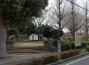 大林やまぶき公園