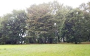 志津自然園