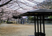 のびのび公園