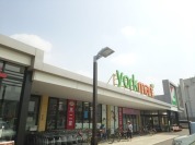 ヨークマーズ都町店
