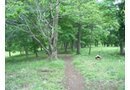 大宮森の公園