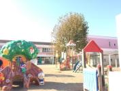 柳光幼稚園