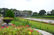 千葉県立青葉の森公園