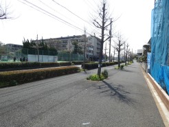 千葉市美浜区磯辺７丁目