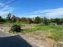 現地写真