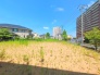 現地土地写真
